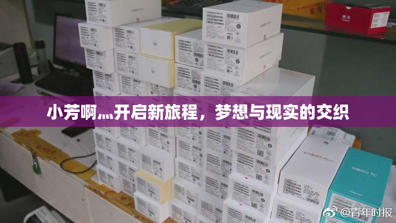 小芳啊灬开启新旅程，梦想与现实的交织