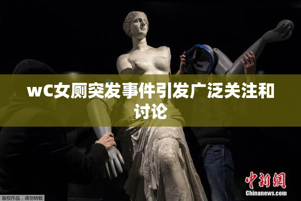 wC女厕突发事件引发广泛关注和讨论