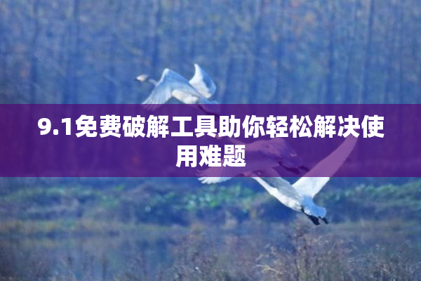 9.1免费破解工具助你轻松解决使用难题