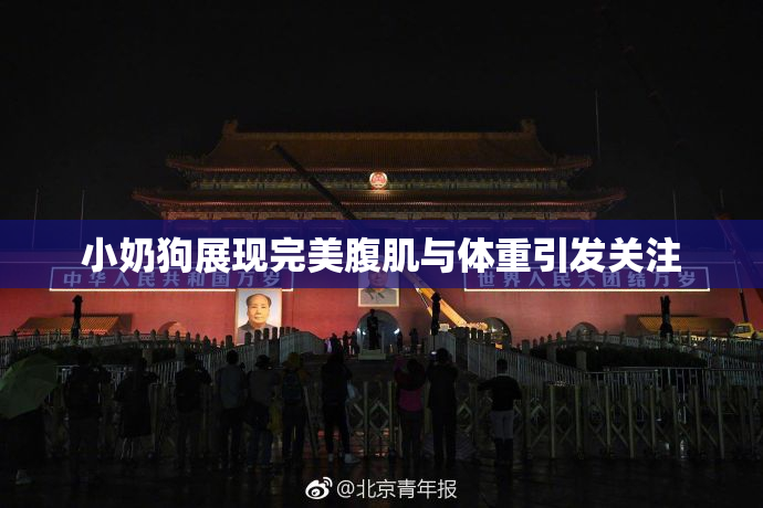 小奶狗展现完美腹肌与体重引发关注