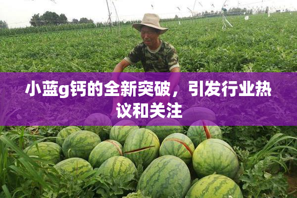 小蓝g钙的全新突破，引发行业热议和关注