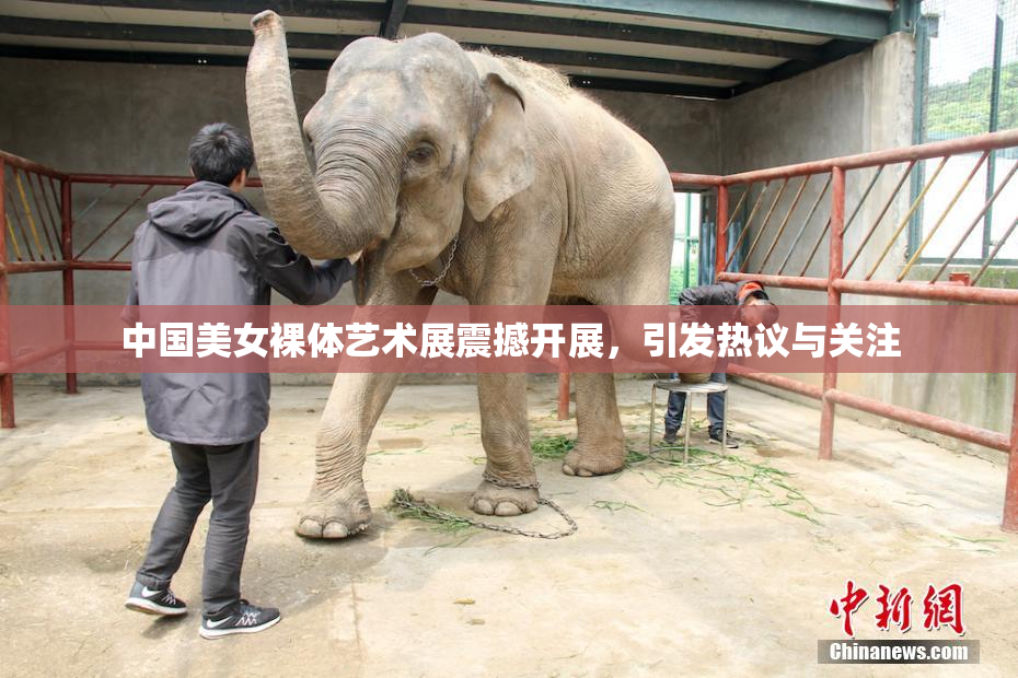 中国美女裸体艺术展震撼开展，引发热议与关注