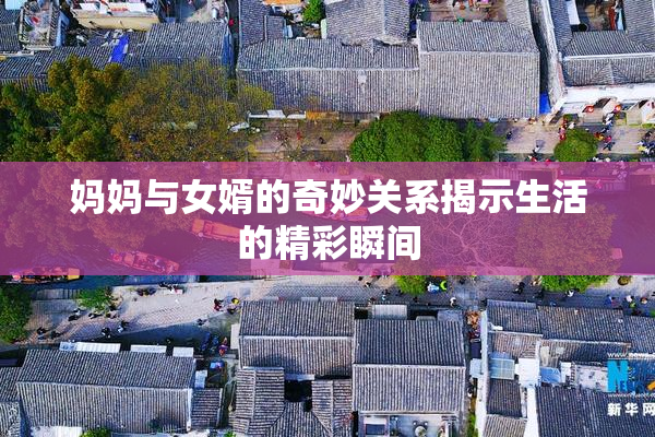 妈妈与女婿的奇妙关系揭示生活的精彩瞬间