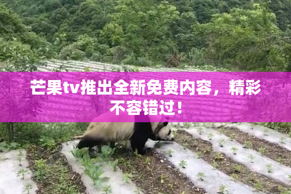 芒果tv推出全新免费内容，精彩不容错过！