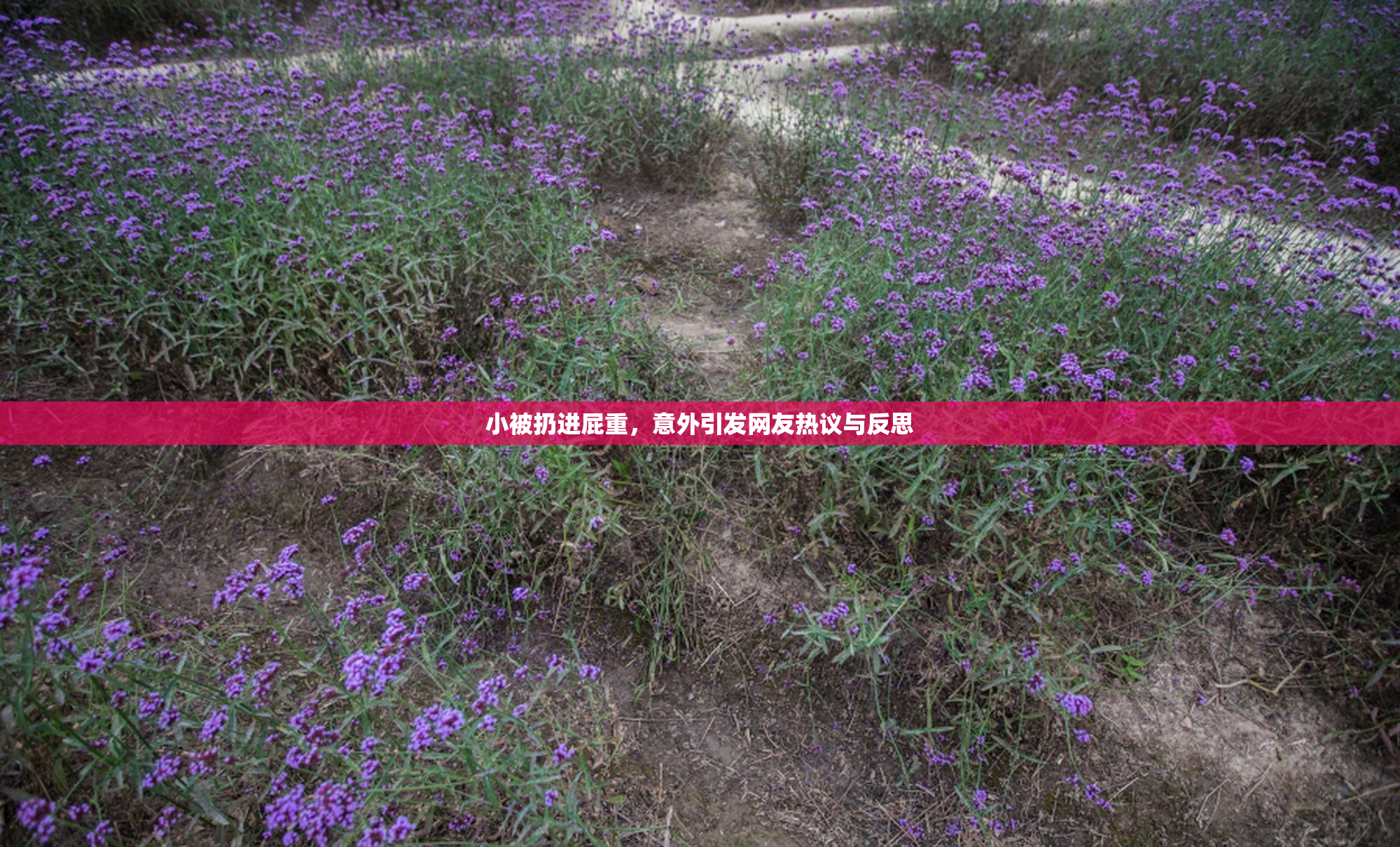 小被扔进屁重，意外引发网友热议与反思
