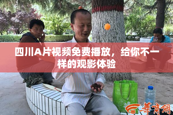 四川A片视频免费播放，给你不一样的观影体验