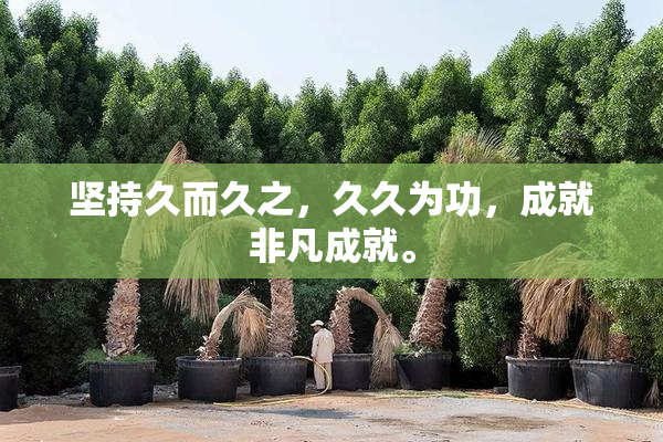 坚持久而久之，久久为功，成就非凡成就。