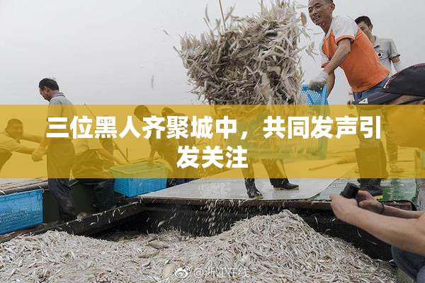 三位黑人齐聚城中，共同发声引发关注