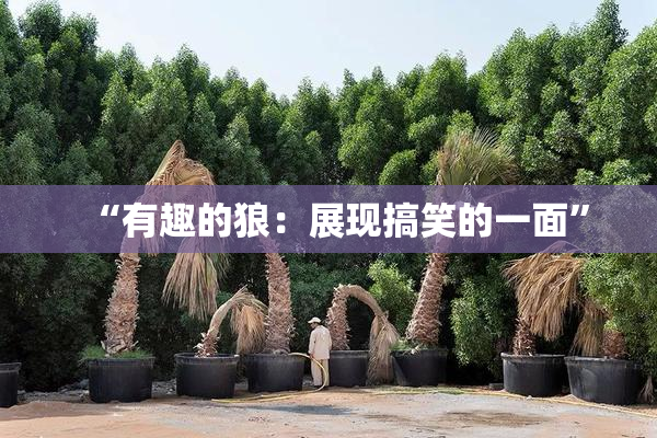 “有趣的狼：展现搞笑的一面”