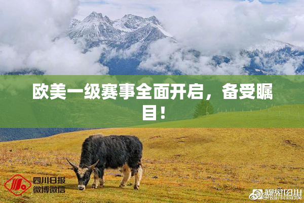 欧美一级赛事全面开启，备受瞩目！