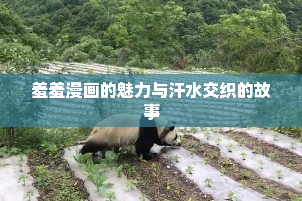 羞羞漫画的魅力与汗水交织的故事