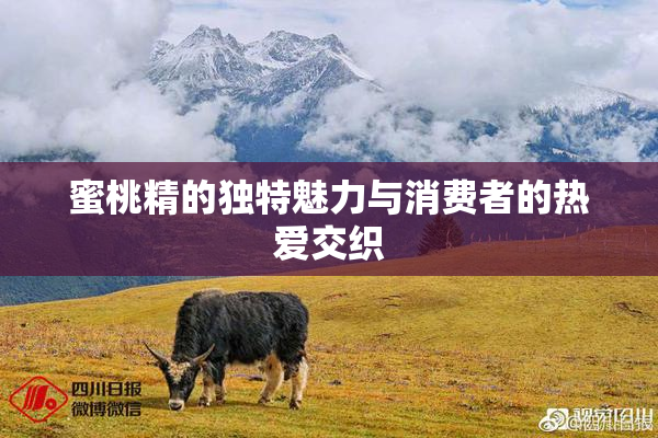 蜜桃精的独特魅力与消费者的热爱交织