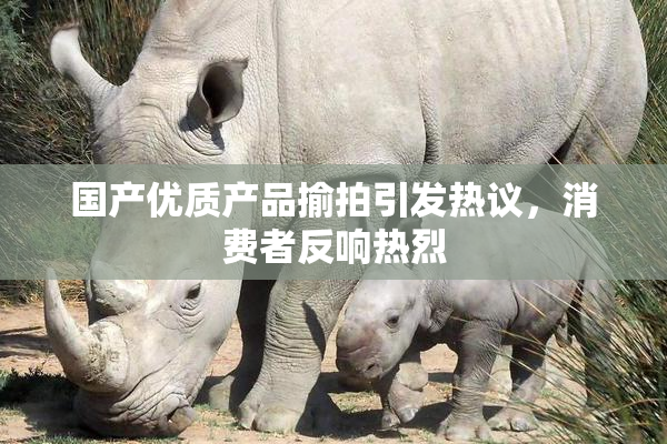 国产优质产品揄拍引发热议，消费者反响热烈