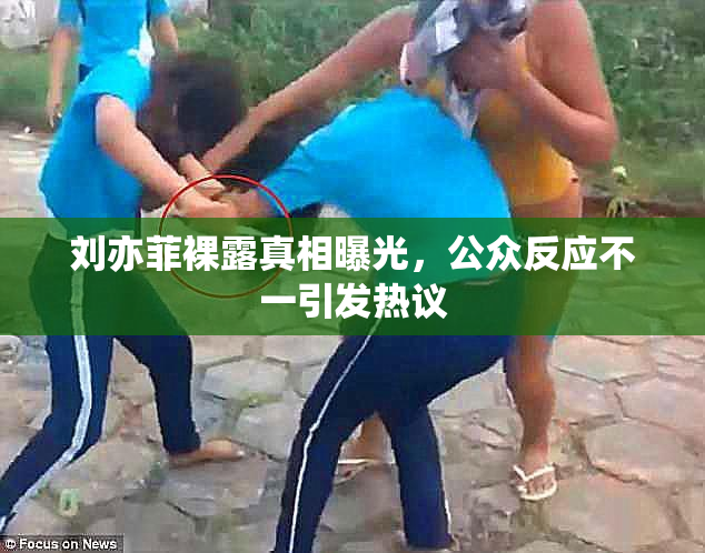 刘亦菲裸露真相曝光，公众反应不一引发热议