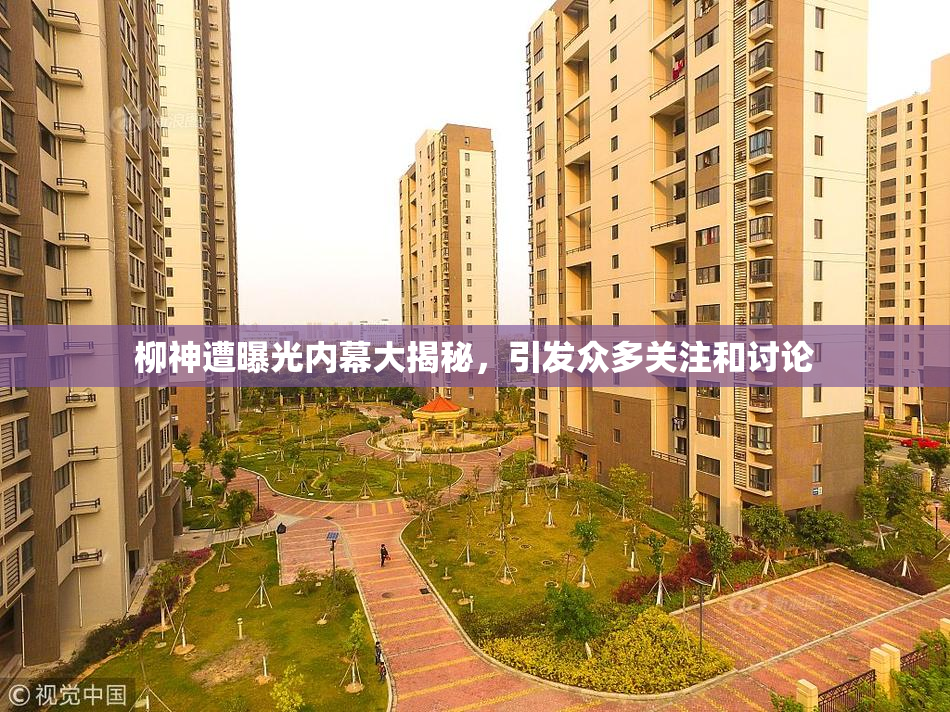 柳神遭曝光内幕大揭秘，引发众多关注和讨论
