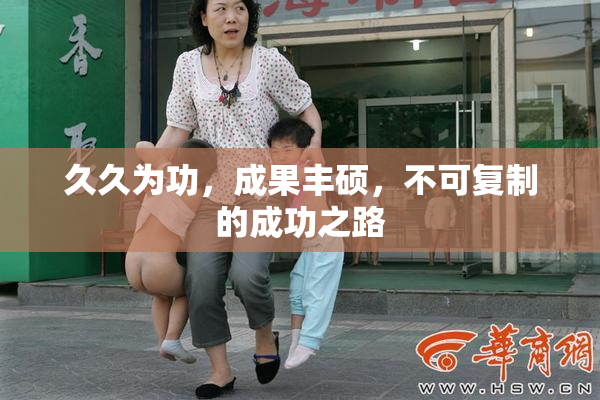久久为功，成果丰硕，不可复制的成功之路