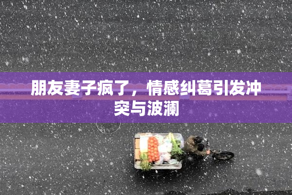 朋友妻子疯了，情感纠葛引发冲突与波澜