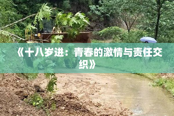 《十八岁进：青春的激情与责任交织》