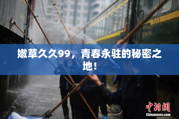 嫩草久久99，青春永驻的秘密之地！