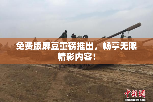 免费版麻豆重磅推出，畅享无限精彩内容！