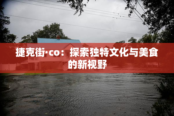 捷克街·co：探索独特文化与美食的新视野