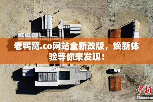 老鸭窝.co网站全新改版，焕新体验等你来发现！