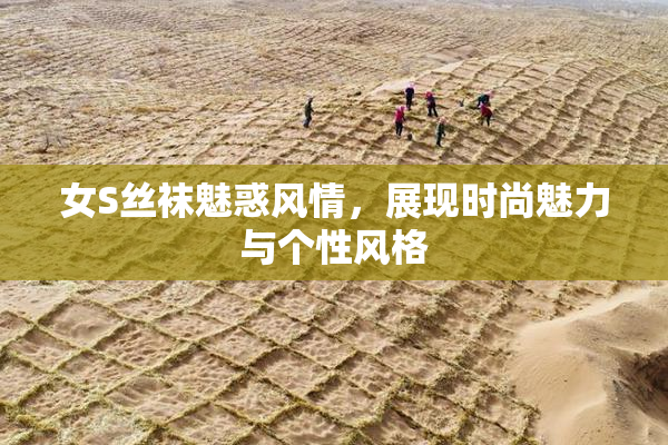 女S丝袜魅惑风情，展现时尚魅力与个性风格