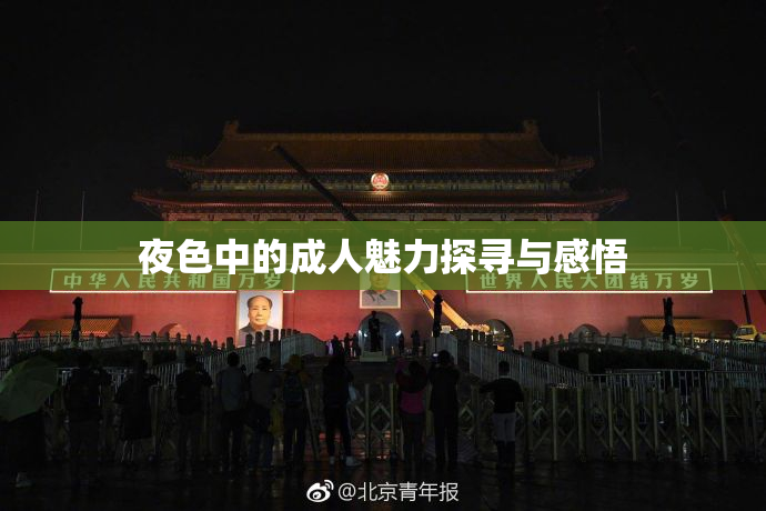 夜色中的成人魅力探寻与感悟