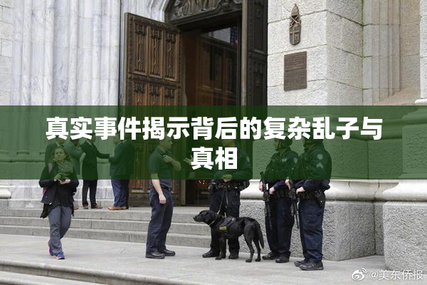 真实事件揭示背后的复杂乱子与真相