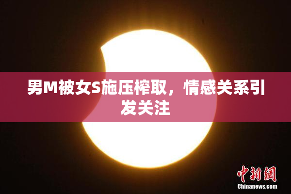 男M被女S施压榨取，情感关系引发关注