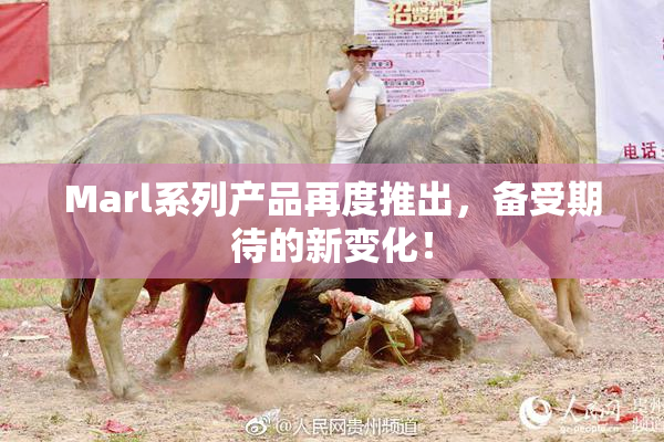 Marl系列产品再度推出，备受期待的新变化！