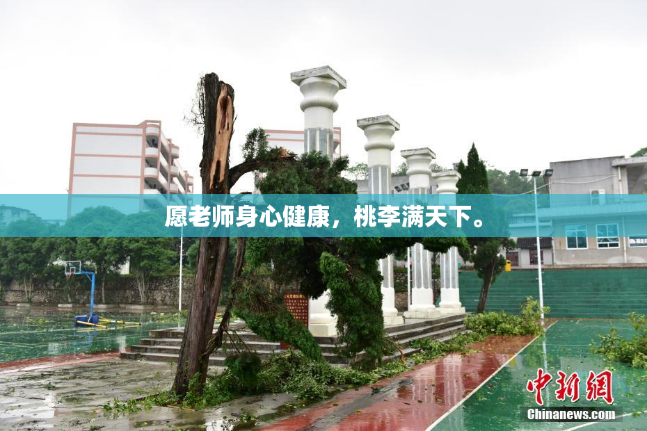 愿老师身心健康，桃李满天下。