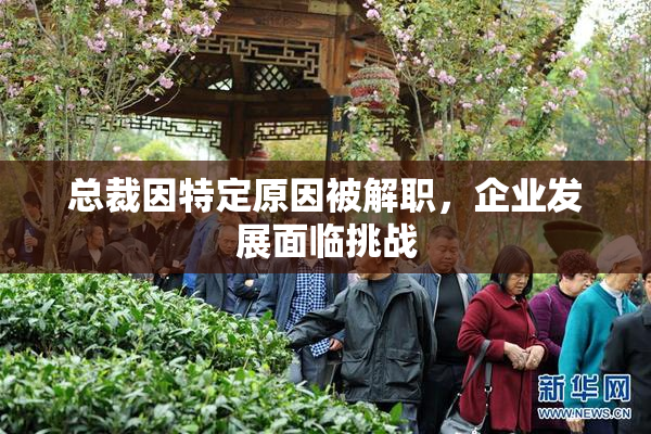 总裁因特定原因被解职，企业发展面临挑战