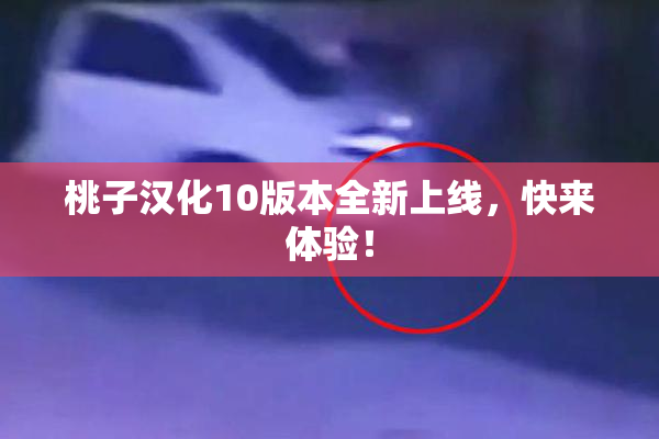 桃子汉化10版本全新上线，快来体验！