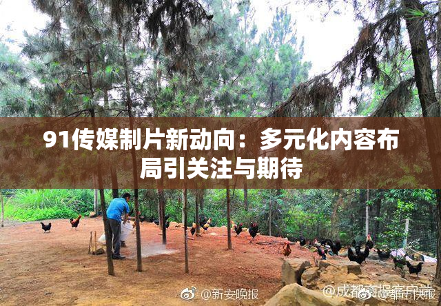 91传媒制片新动向：多元化内容布局引关注与期待