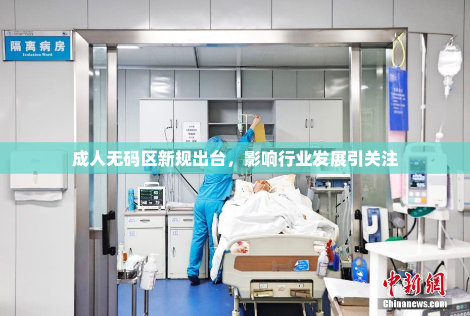 成人无码区新规出台，影响行业发展引关注