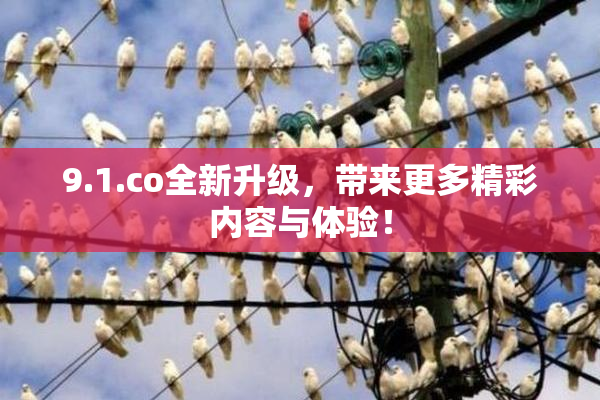 9.1.co全新升级，带来更多精彩内容与体验！