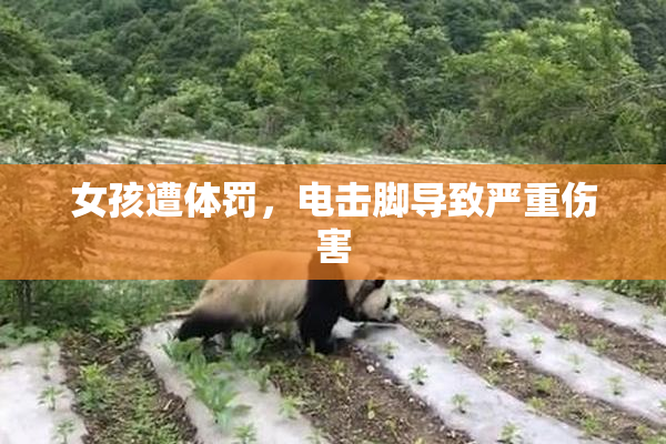 女孩遭体罚，电击脚导致严重伤害