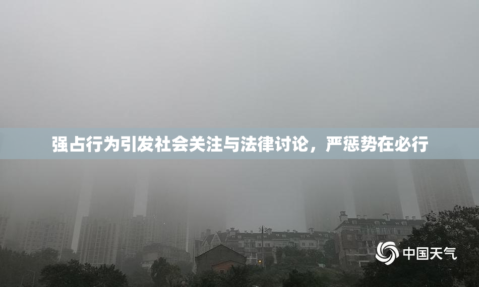 强占行为引发社会关注与法律讨论，严惩势在必行