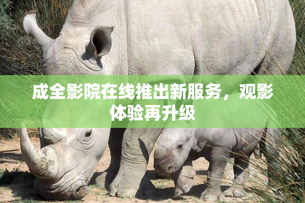 成全影院在线推出新服务，观影体验再升级