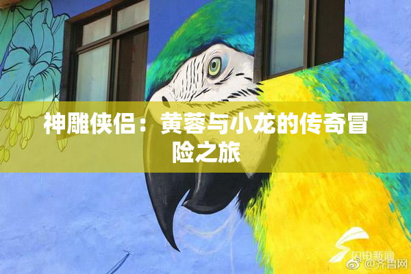 神雕侠侣：黄蓉与小龙的传奇冒险之旅