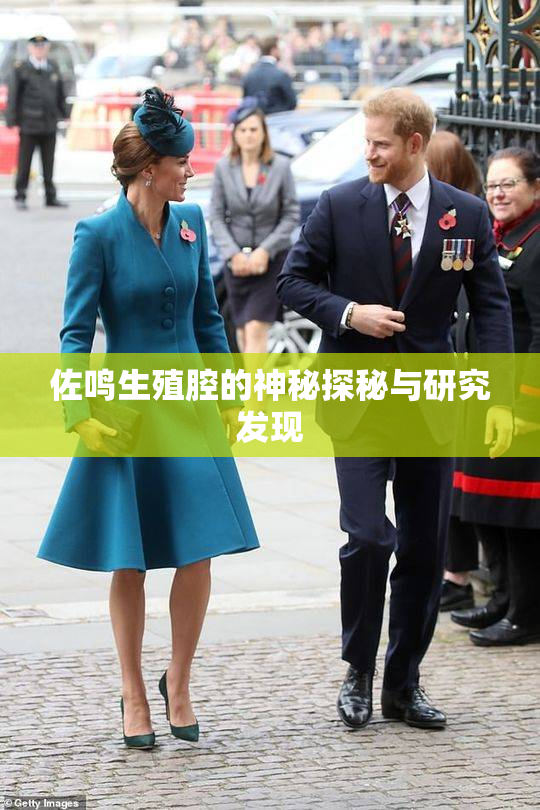佐鸣生殖腔的神秘探秘与研究发现