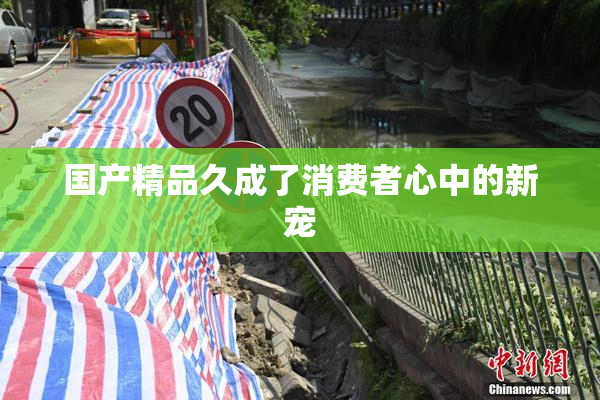 国产精品久成了消费者心中的新宠