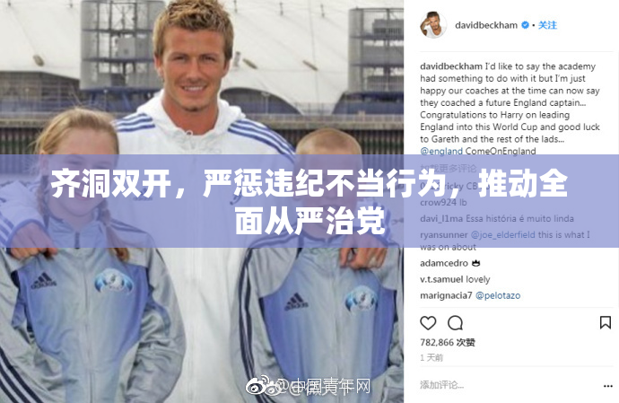 齐洞双开，严惩违纪不当行为，推动全面从严治党