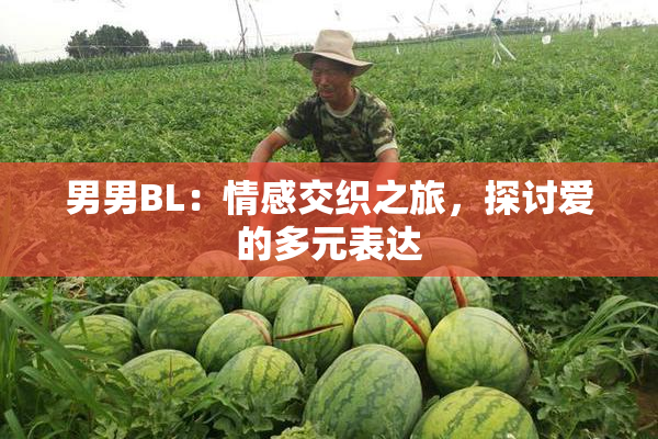 男男BL：情感交织之旅，探讨爱的多元表达
