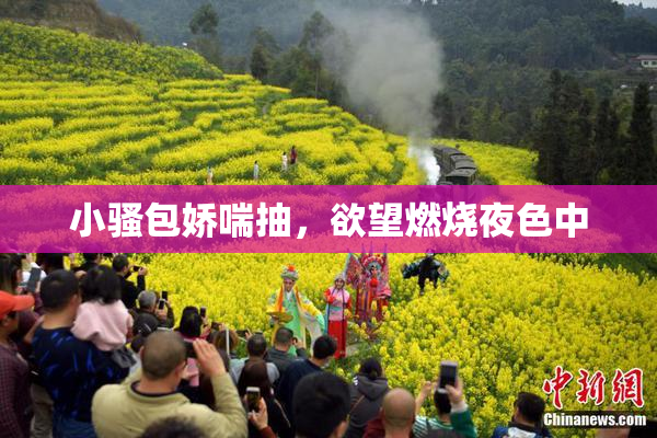 小骚包娇喘抽，欲望燃烧夜色中