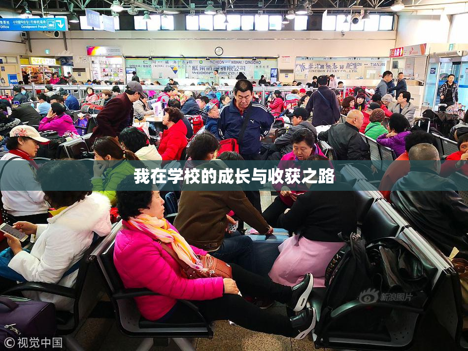 我在学校的成长与收获之路