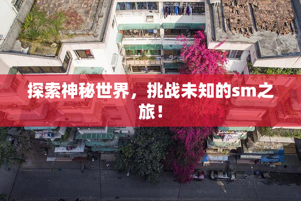 探索神秘世界，挑战未知的sm之旅！