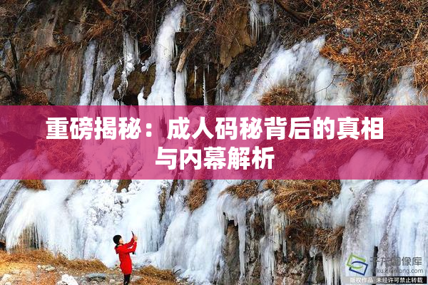 重磅揭秘：成人码秘背后的真相与内幕解析
