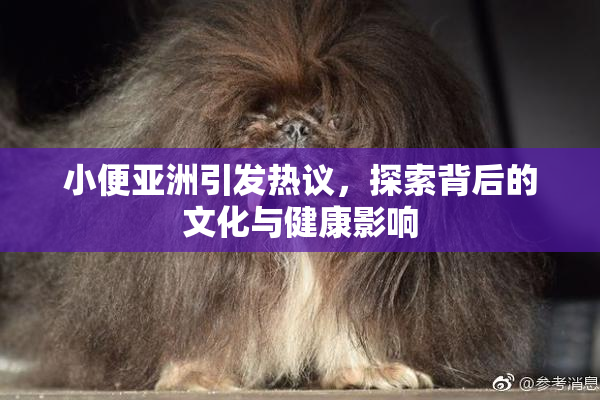 小便亚洲引发热议，探索背后的文化与健康影响
